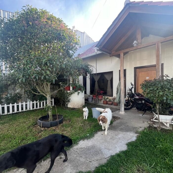 ¡Su nuevo hogar le espera!